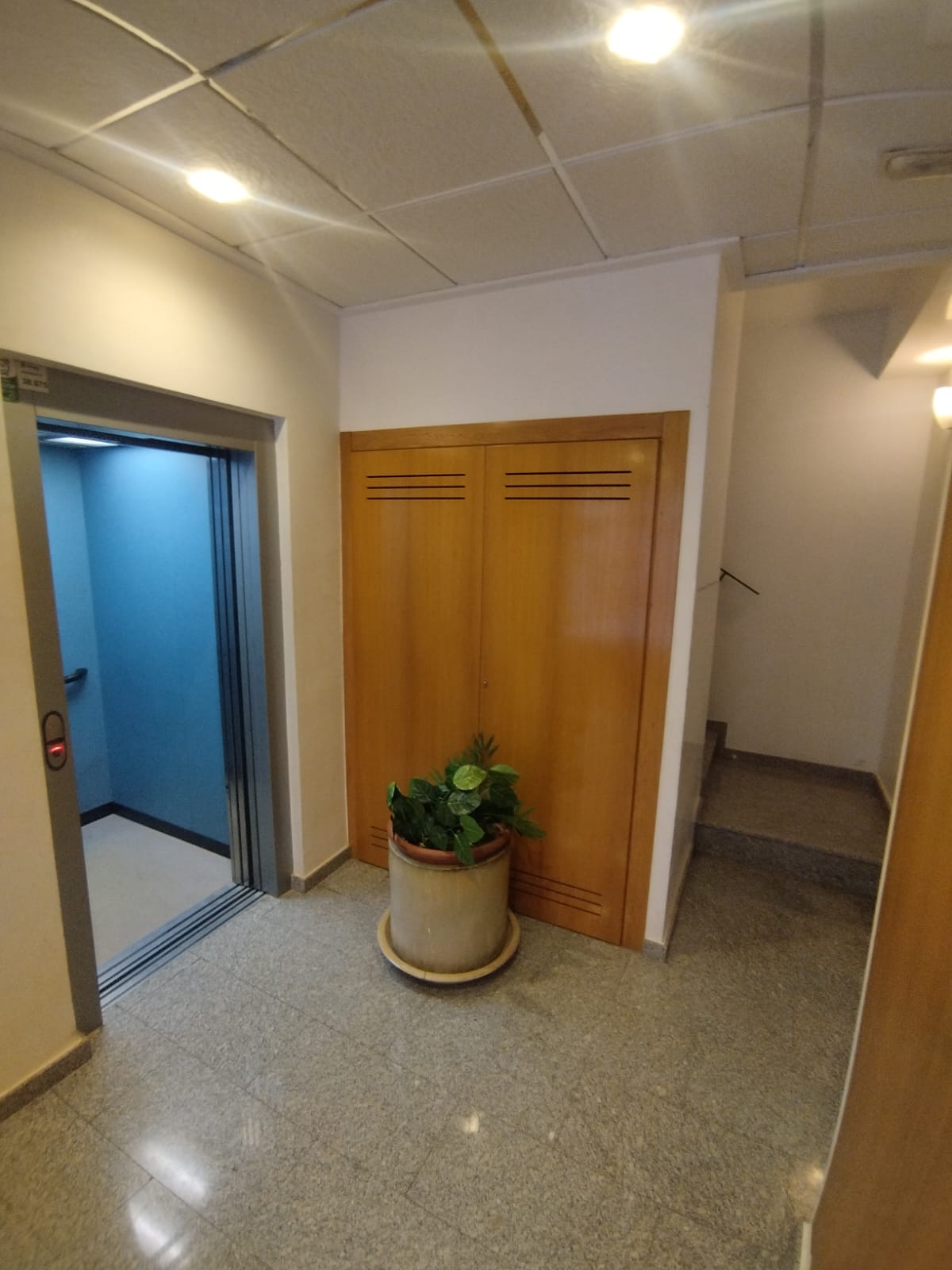 50014_cll palmera, alcantarilla (6).jpeg